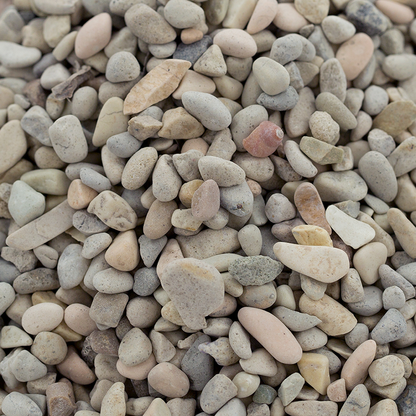 Dolphin Beach Pebbles, Small