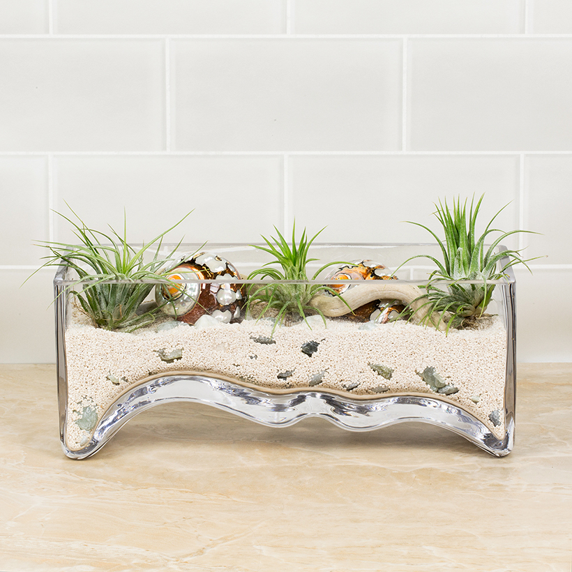 Surf Glass Planter