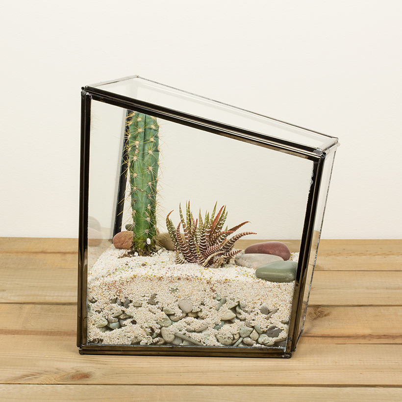 Ripley Terrarium (Small)