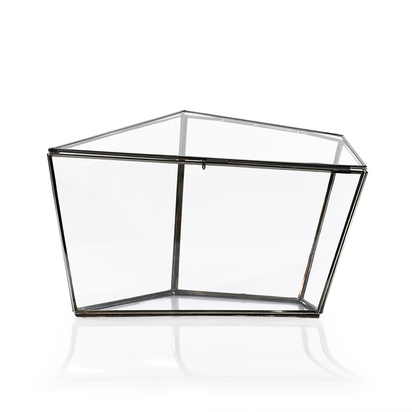 Ripley Terrarium (Large)