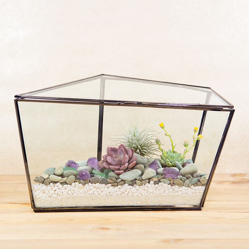 Ripley Terrarium (Large)