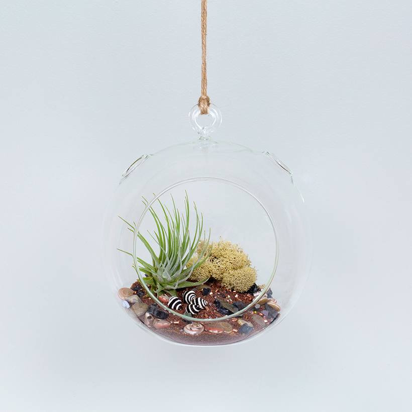 Crystal Ball Hanging Terrarium, Small