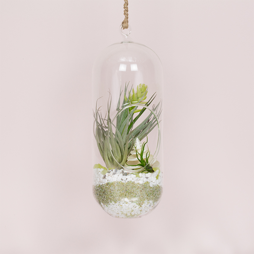 Owl Hole Hanging Terrarium Large