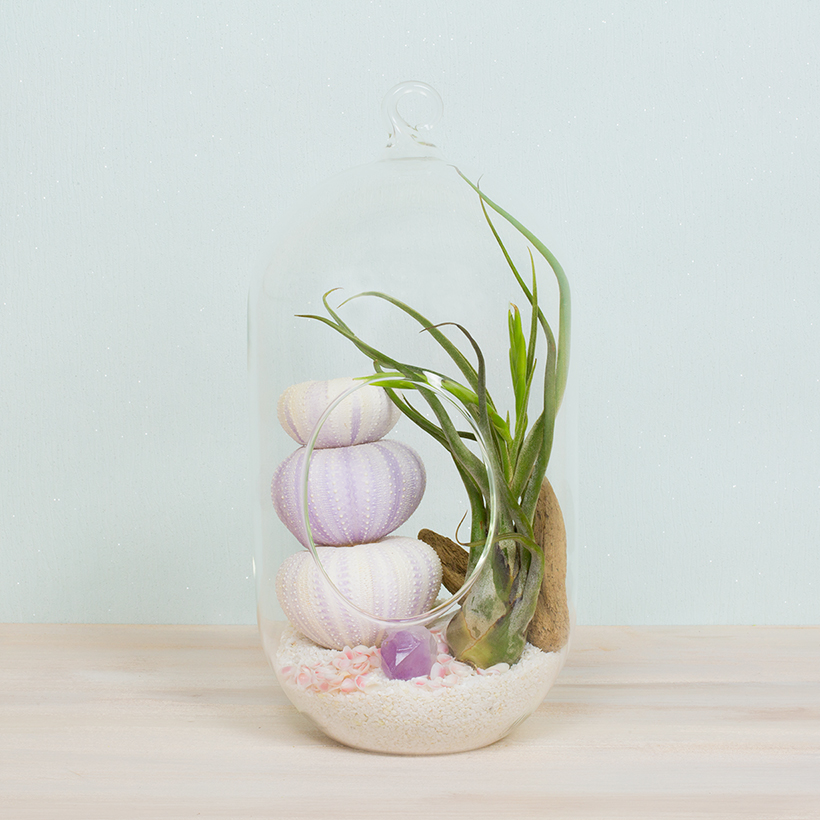 Owl Hole Hanging Terrarium, Medium