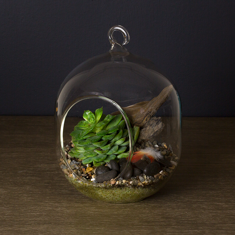 Owl Hole Hanging Terrarium Small