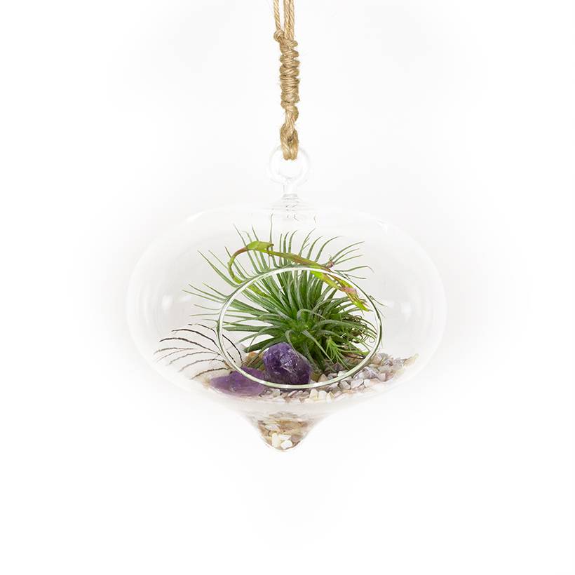 Topsy Hanging Terrarium