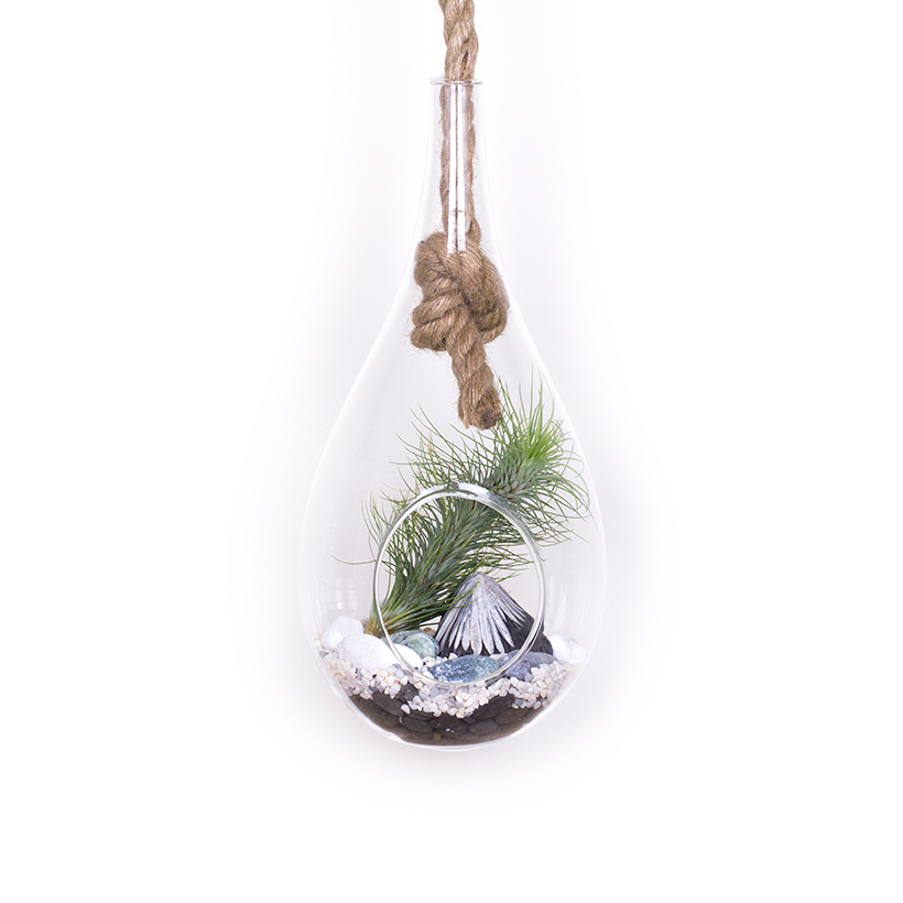 Roped Hanging Terrarium