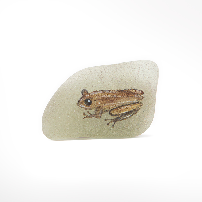 Little Frog Painted Stone