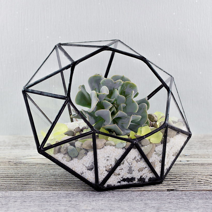 Diamond Terrarium (Black, Large)