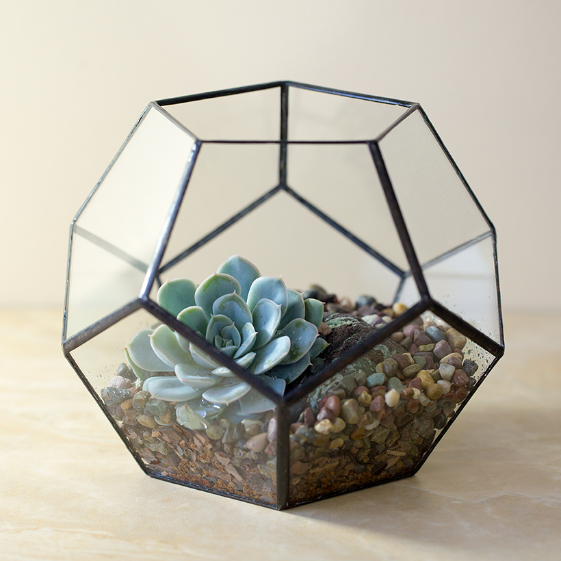 Dodeca Terrarium (Black, Medium)