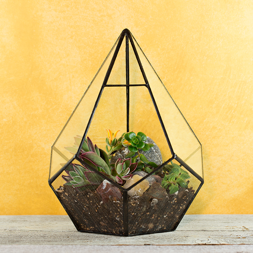 Geo-Drop Terrarium (Black, Small)