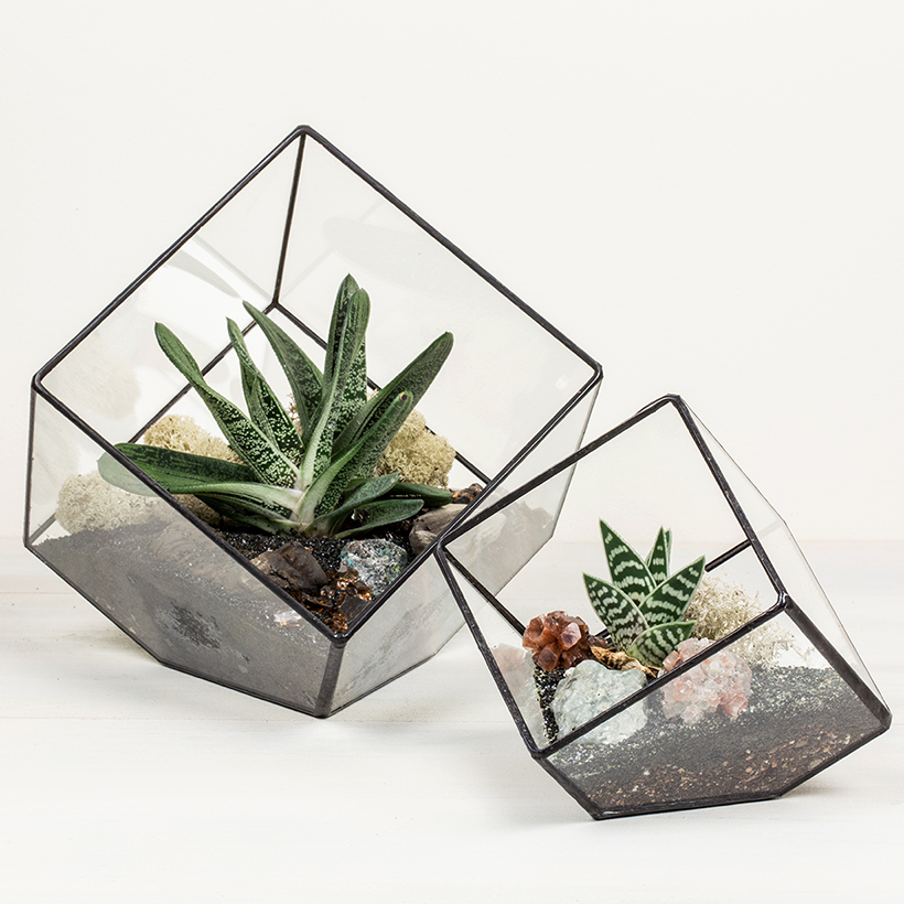 Tipped Cube Terrarium (Black, Large)