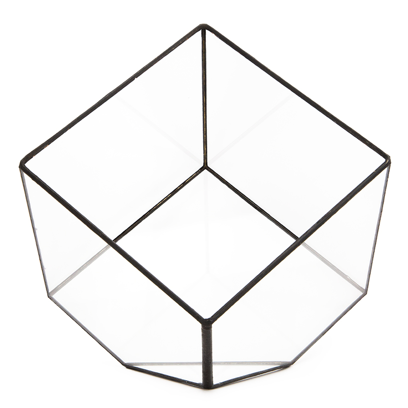 Tipped Cube Terrarium, Large