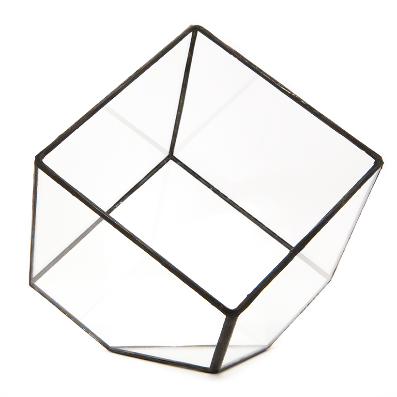 Tipped Cube Terrarium (Black, Medium)