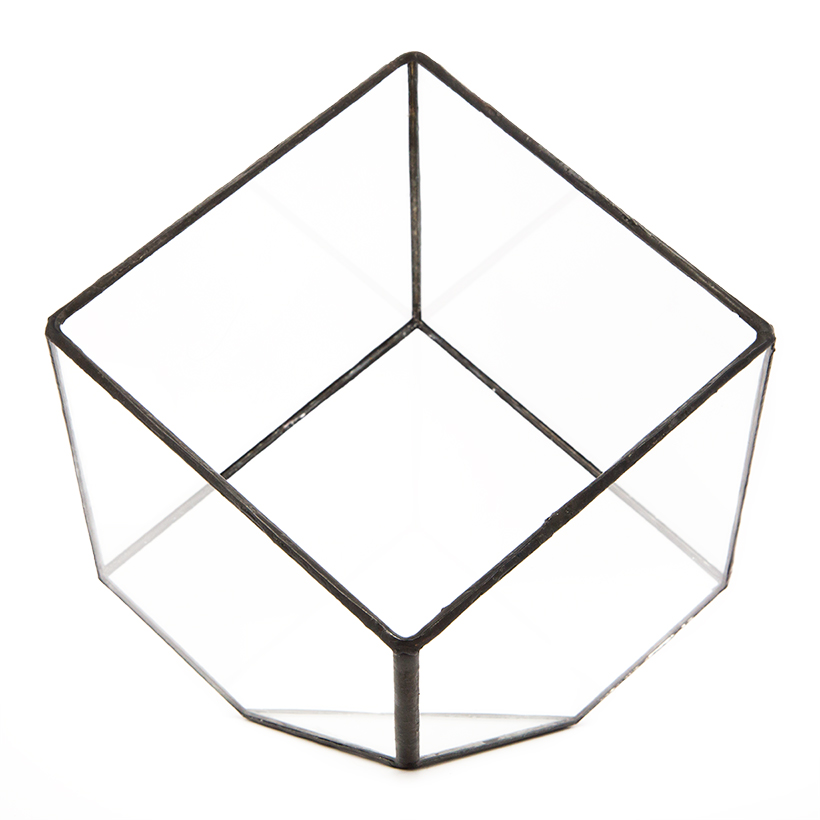 Tipped Cube Terrarium (Black, Medium)