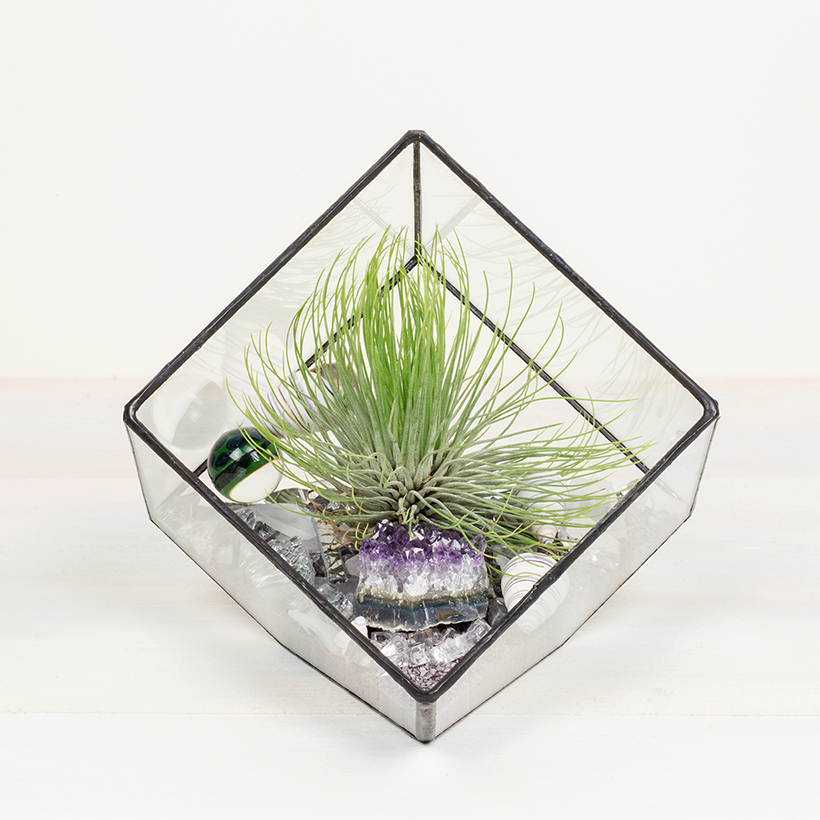 Tipped Cube Terrarium (Black, Medium)