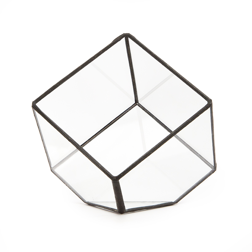 Tipped Cube Terrarium (Black, Small)