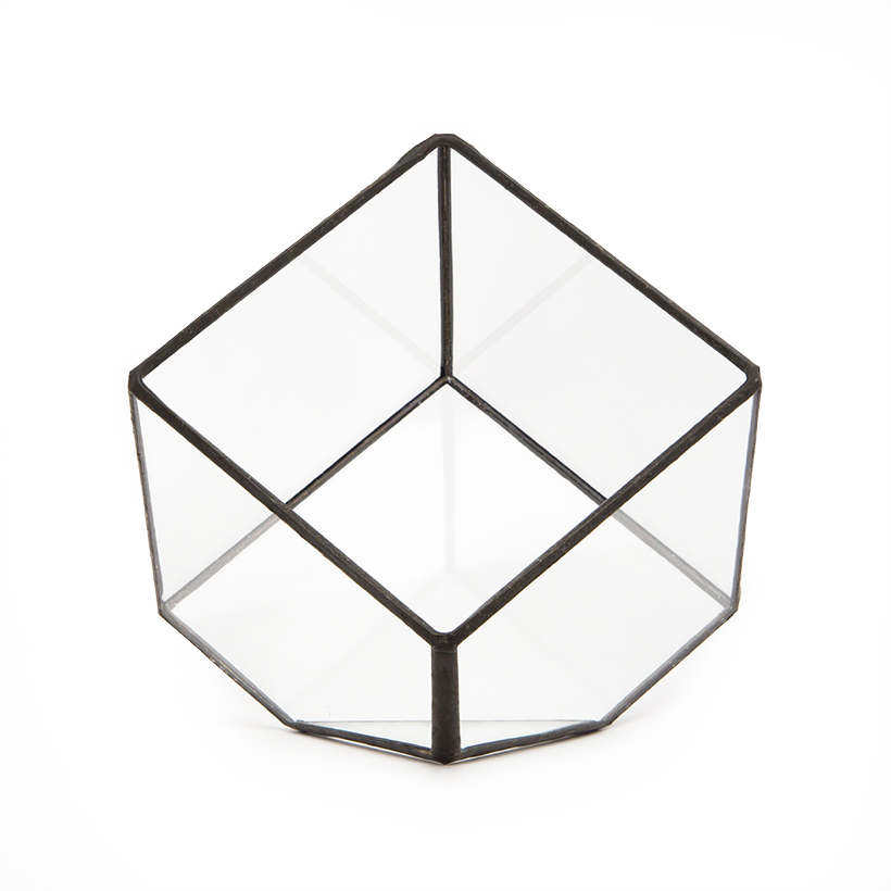 Tipped Cube Terrarium (Black, Small)