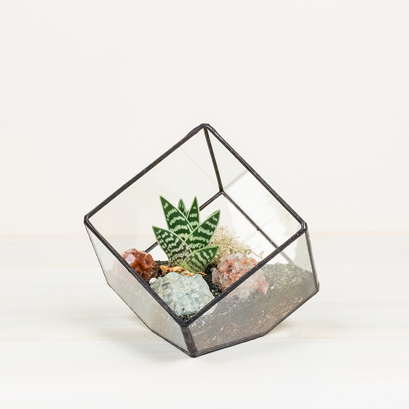 Tipped Cube Terrarium (Black, Small)