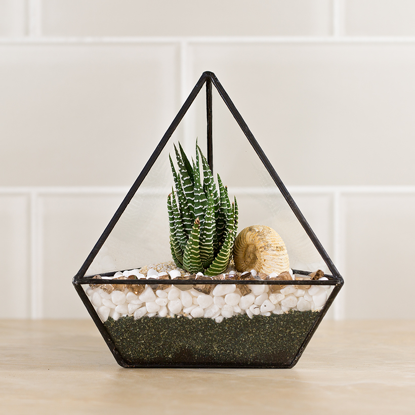 Triangle Terrarium (Black, Small)