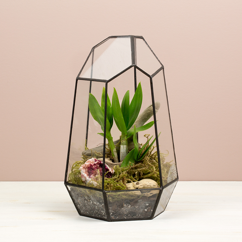 Crystal Point Terrarium II