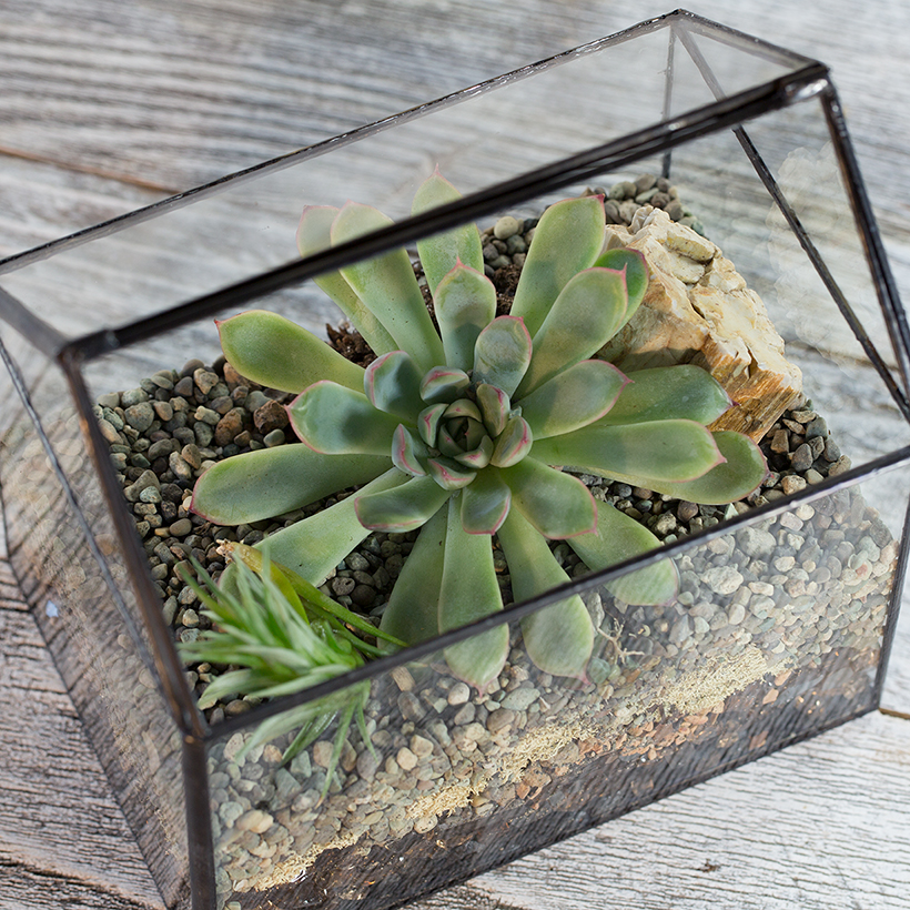 Soldered House Terrarium (Black)