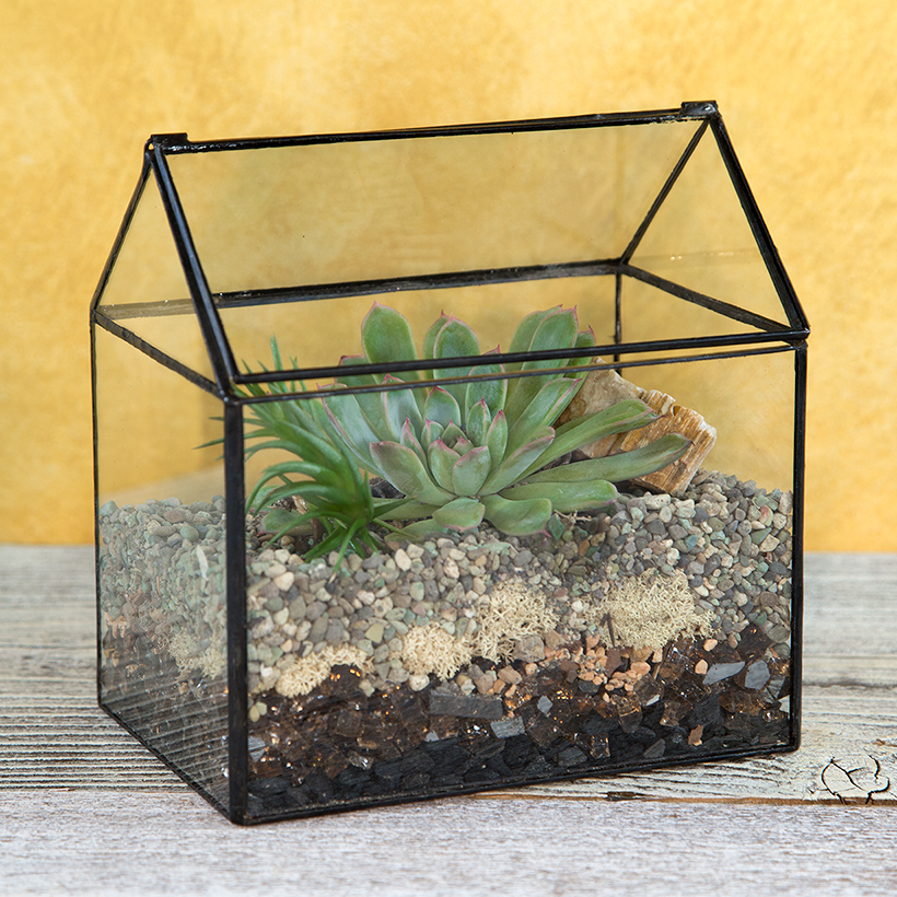 Soldered House Terrarium