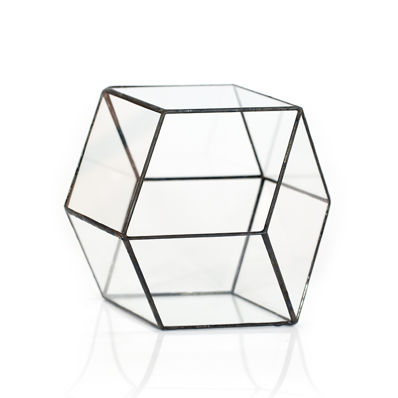 Enigma Terrarium (Black)