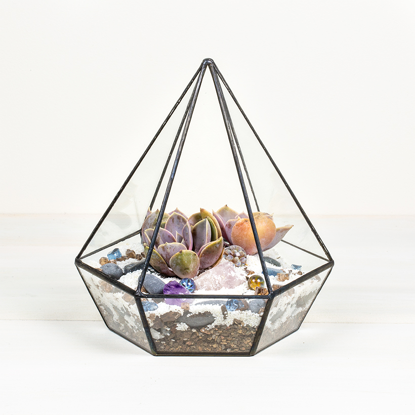 Jewel Terrarium (Black)