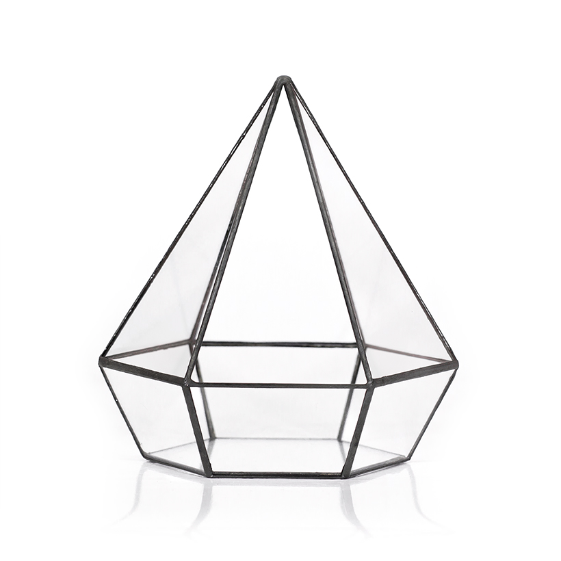 Jewel Terrarium (Black)