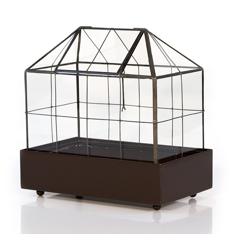 Greenhouse Terrarium in Brown Base (Black)