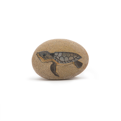 Turtle Painted Stone