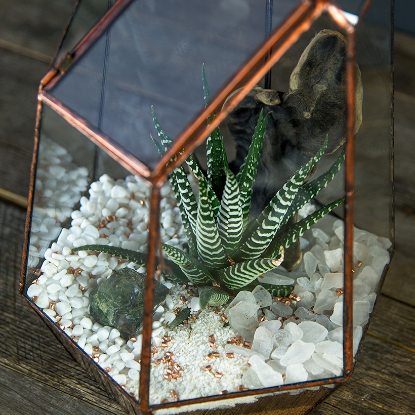 Crystal Point Terrarium (Copper)