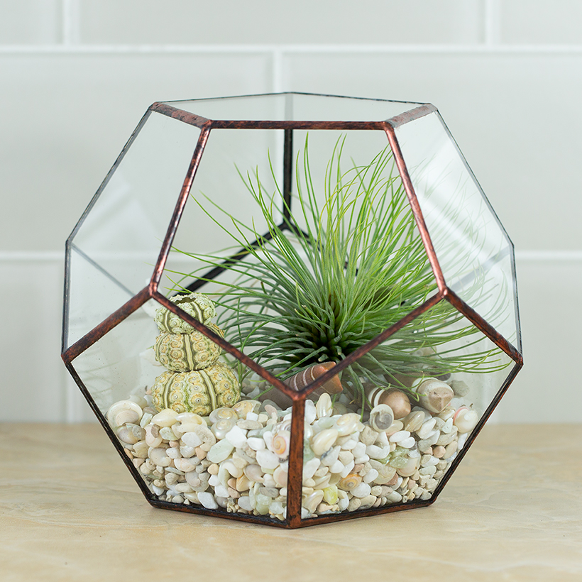 Dodeca Terrarium (Copper, Medium)