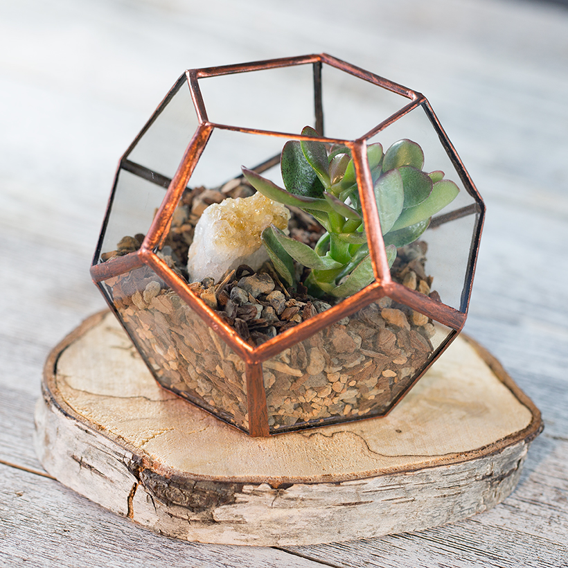 Dodeca Terrarium (Copper, Small)