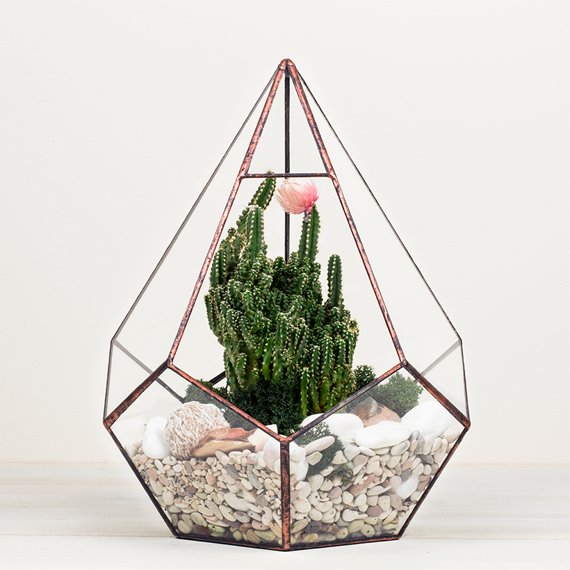 Geo-Drop Terrarium (Copper, Large)