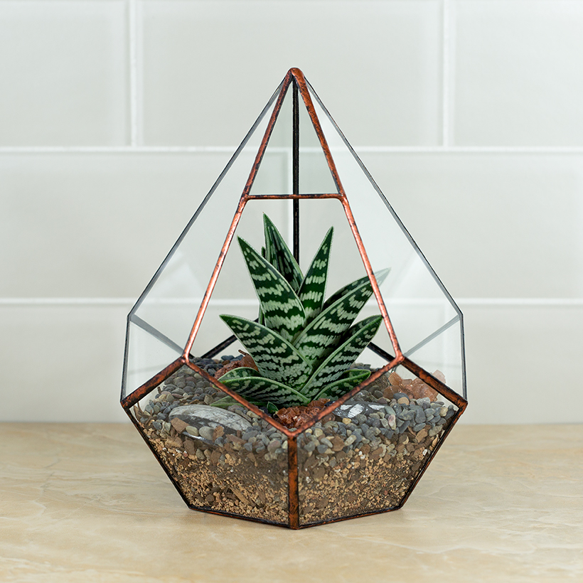 Geo-Drop Terrarium (Copper, Small)