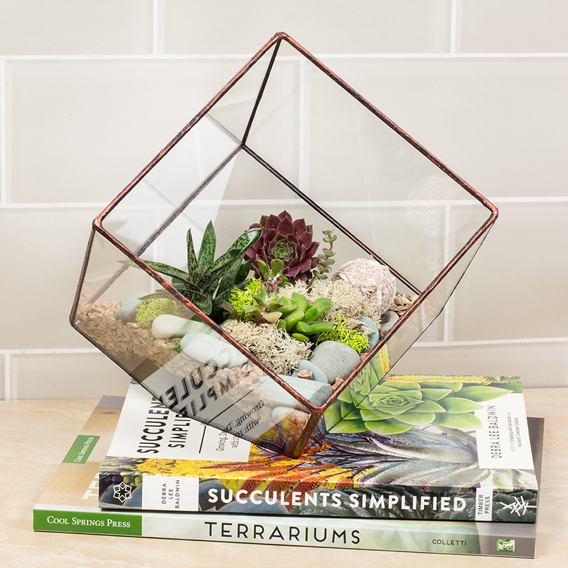 Tipped Cube Terrarium (Copper, Large)