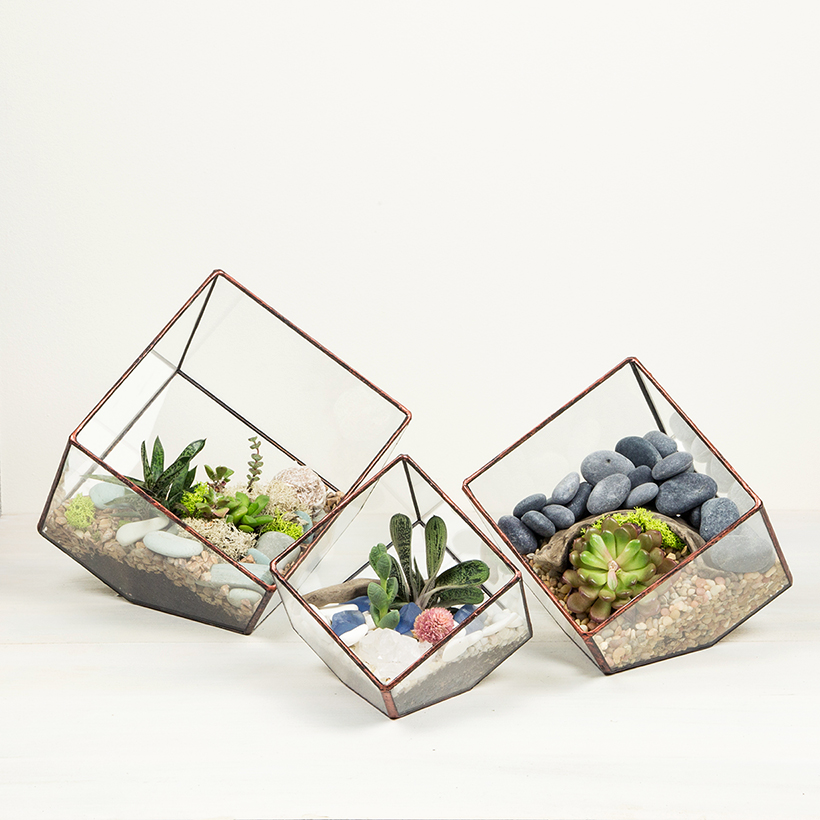 Tipped Cube Terrarium (Copper, Large)