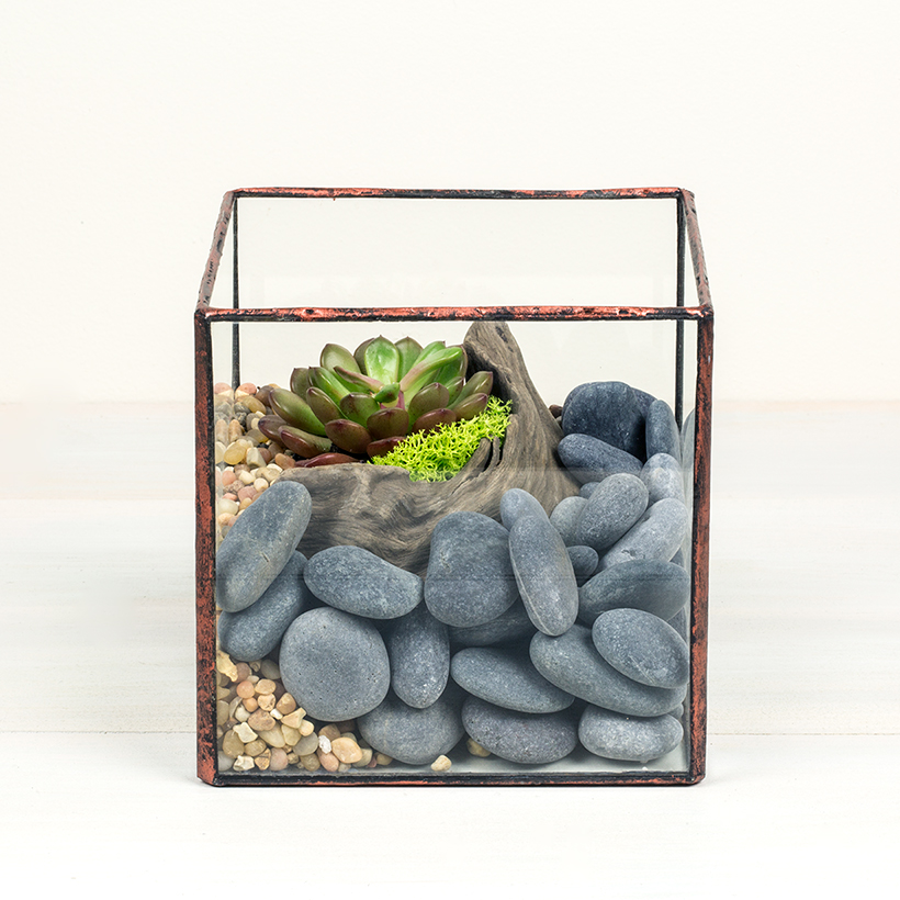 Tipped Cube Terrarium, Medium