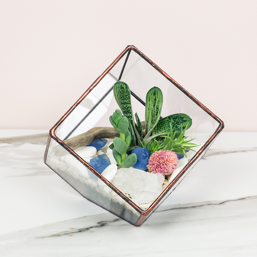 Tipped Cube Terrarium (Copper, Small)