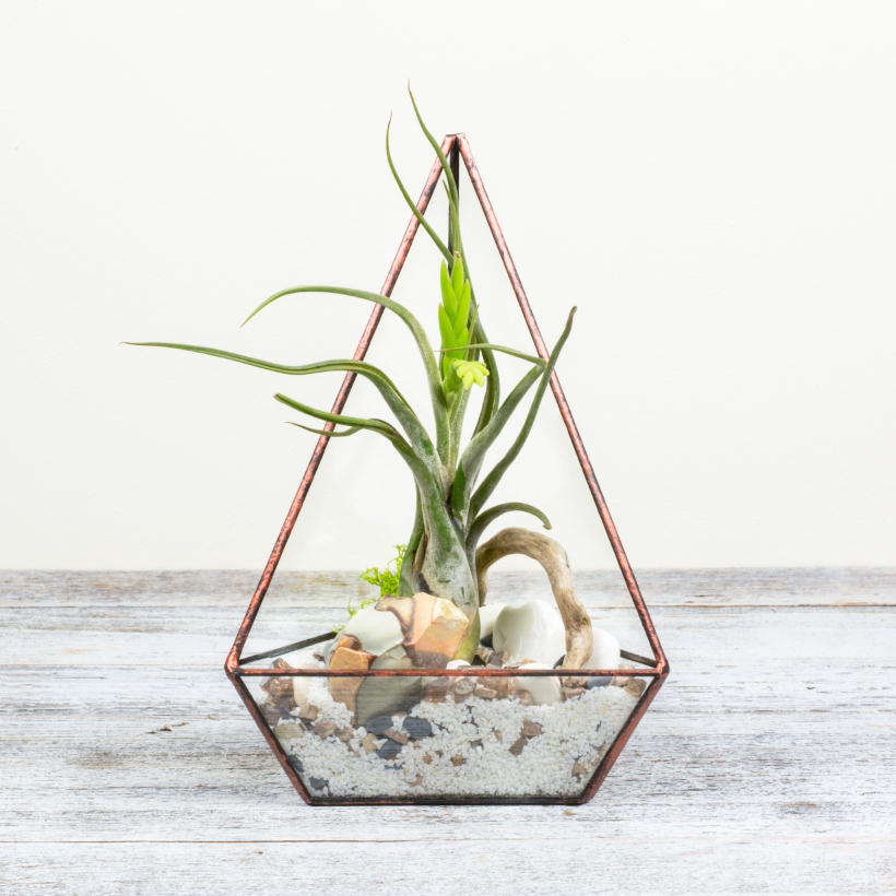 Pyramid Terrarium (Copper)