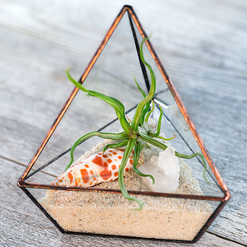 Triangle Terrarium (Copper, Small)