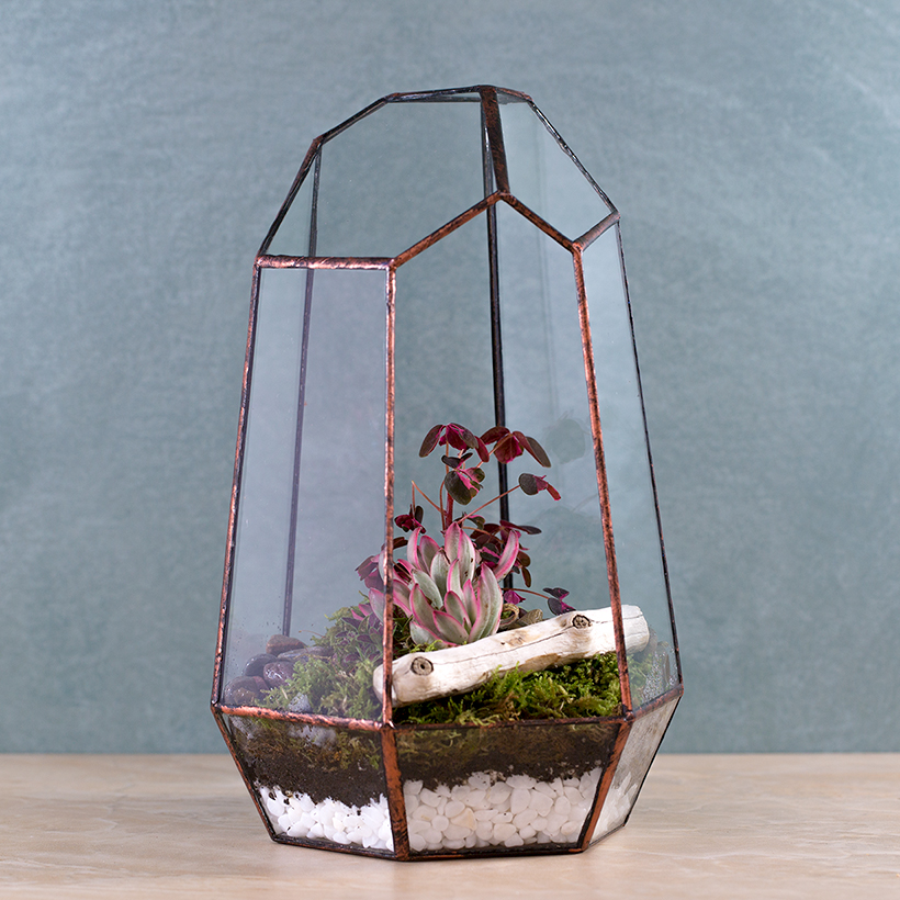 Crystal Point Terrarium II (Copper)