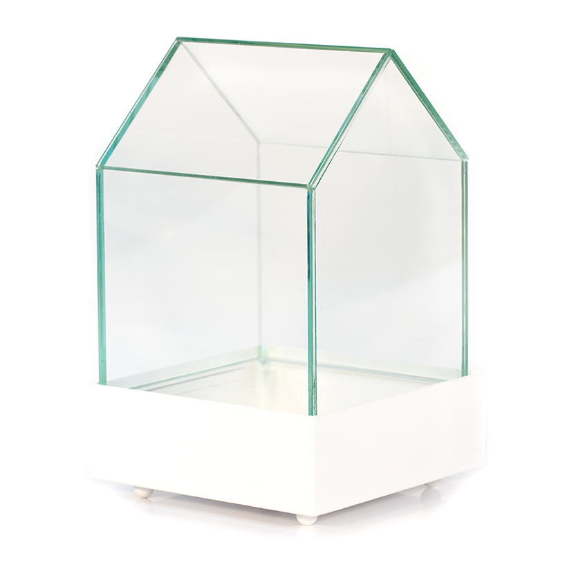 Glass House Terrarium in White Base