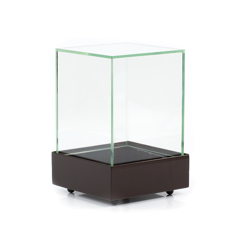 Glass Cube Terrarium