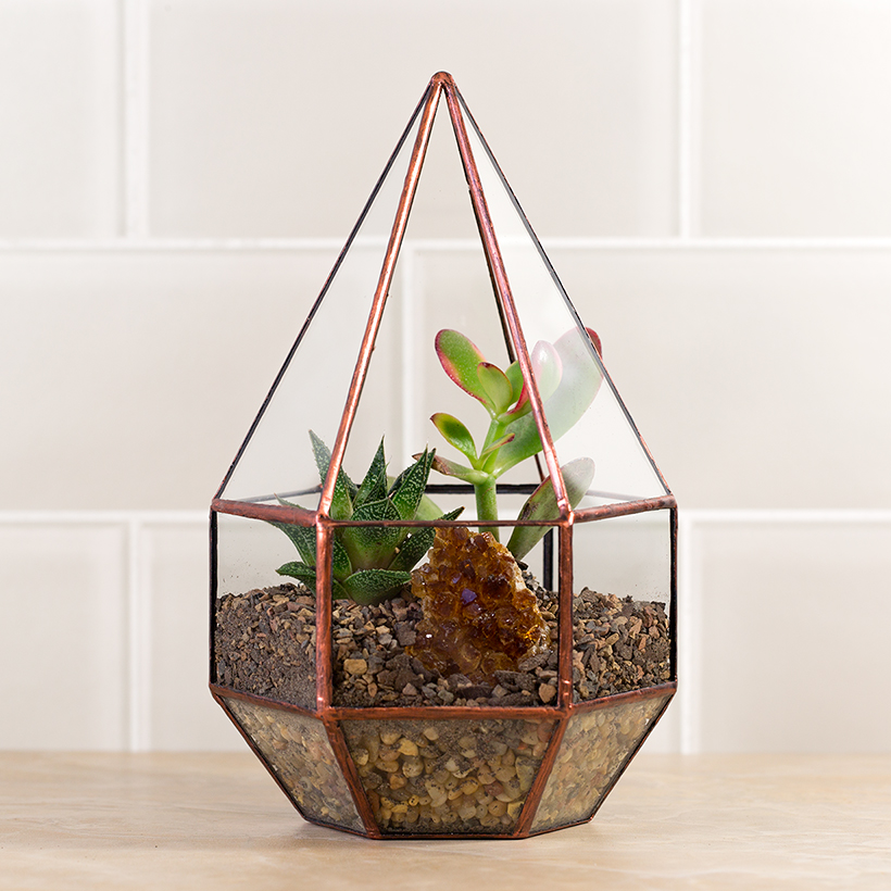 Crystal Drop Terrarium