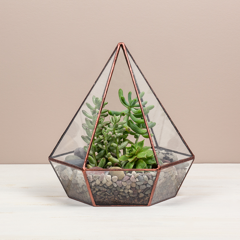 Jewel Terrarium (Copper)