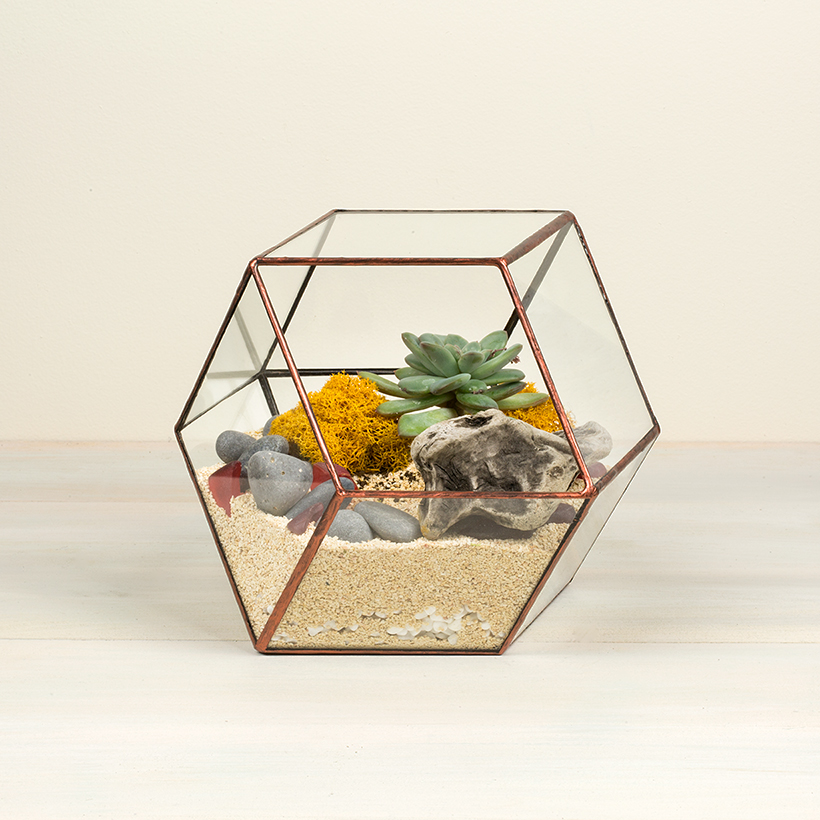 Enigma Terrarium (Copper)