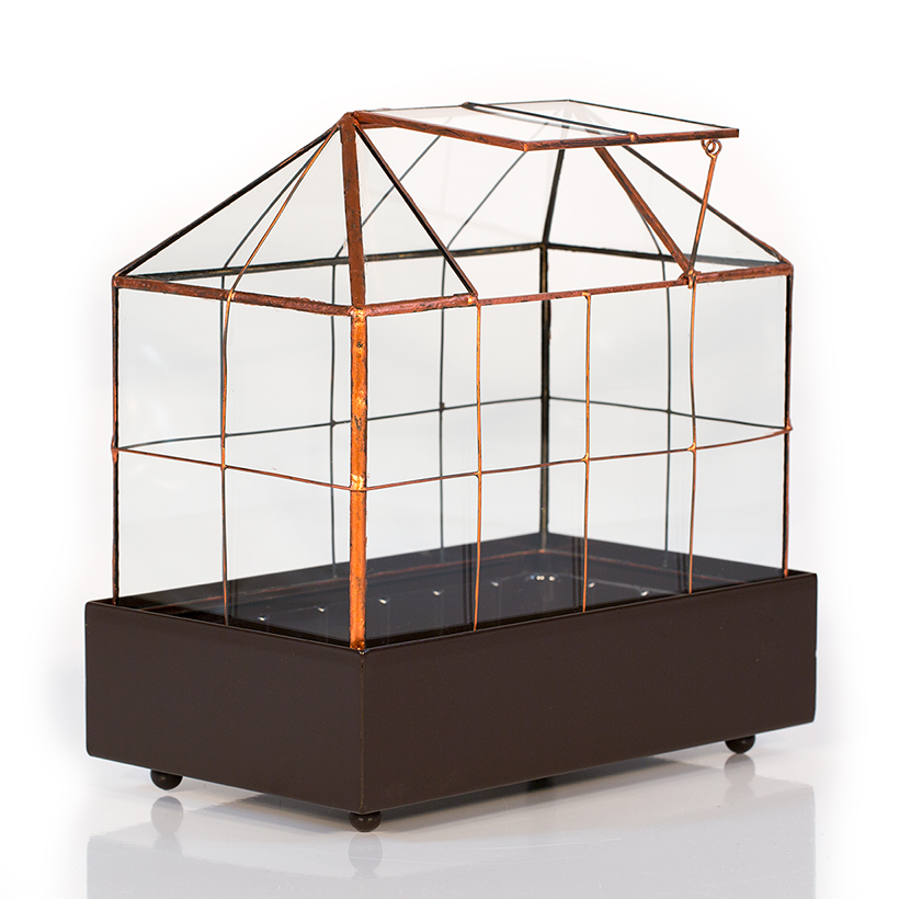 Greenhouse Terrarium in Brown Base (Copper)